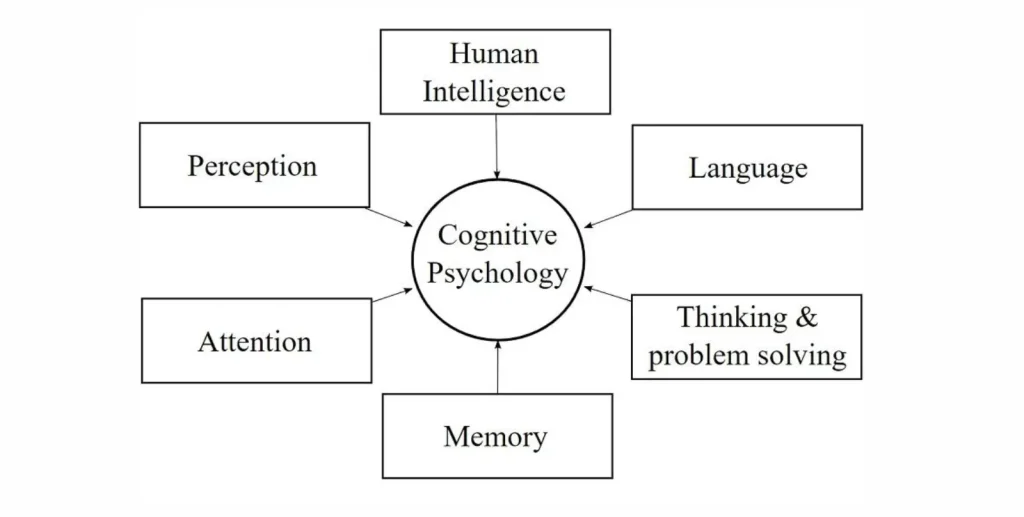 Cognitive Psychology and Habits