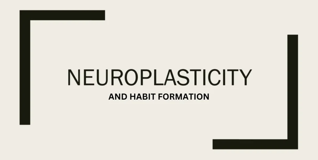 Neuroplasticity and Habit Formation