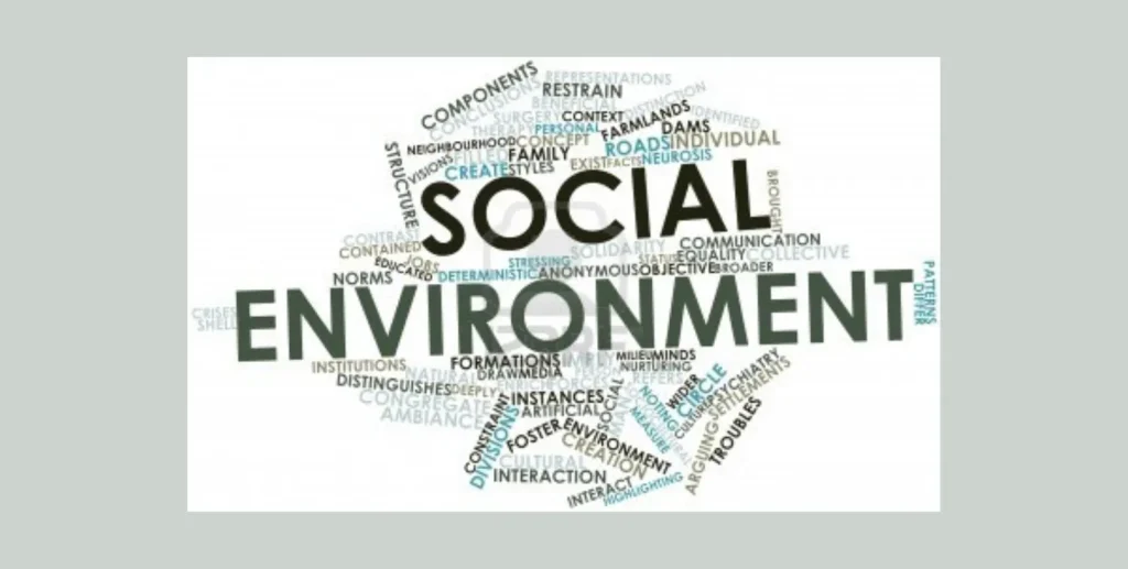 Social Environment