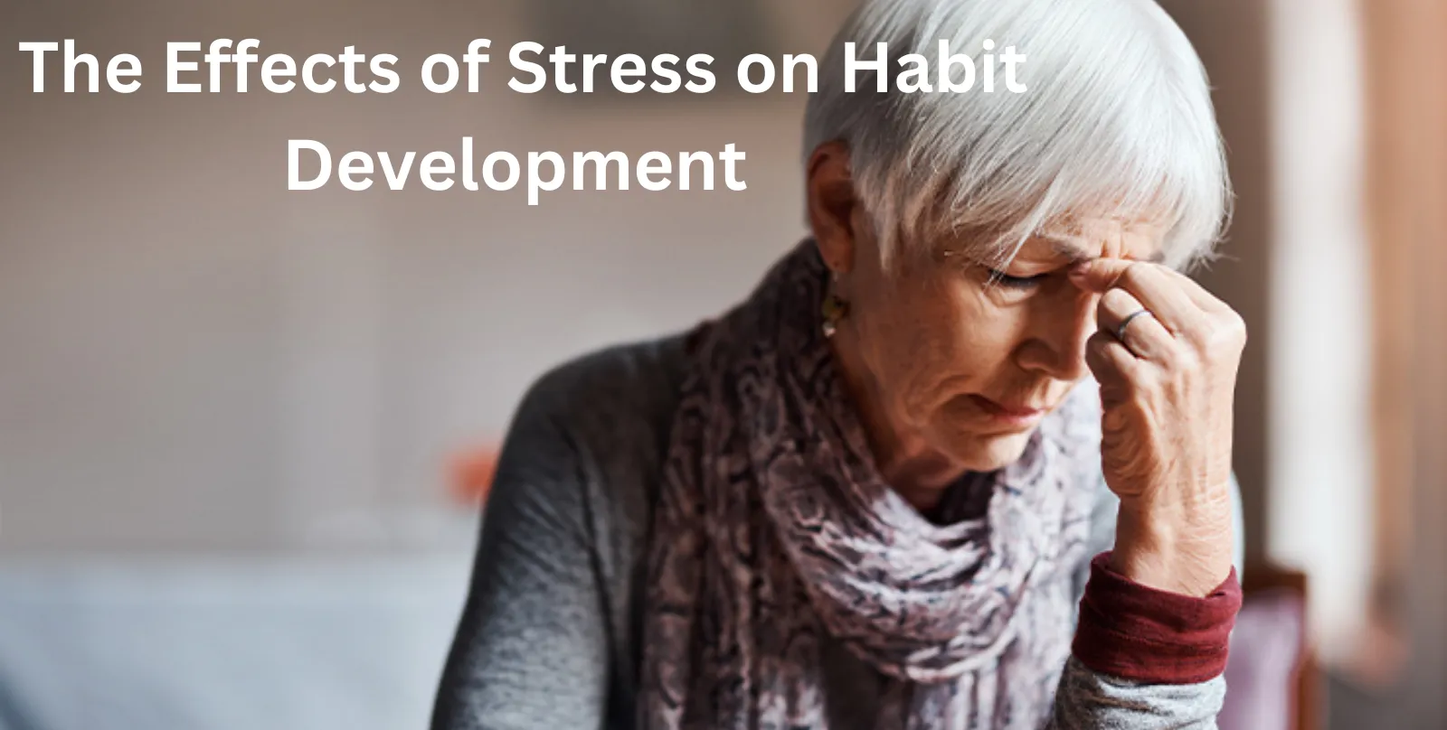 The Effects of Stress on Habit Development