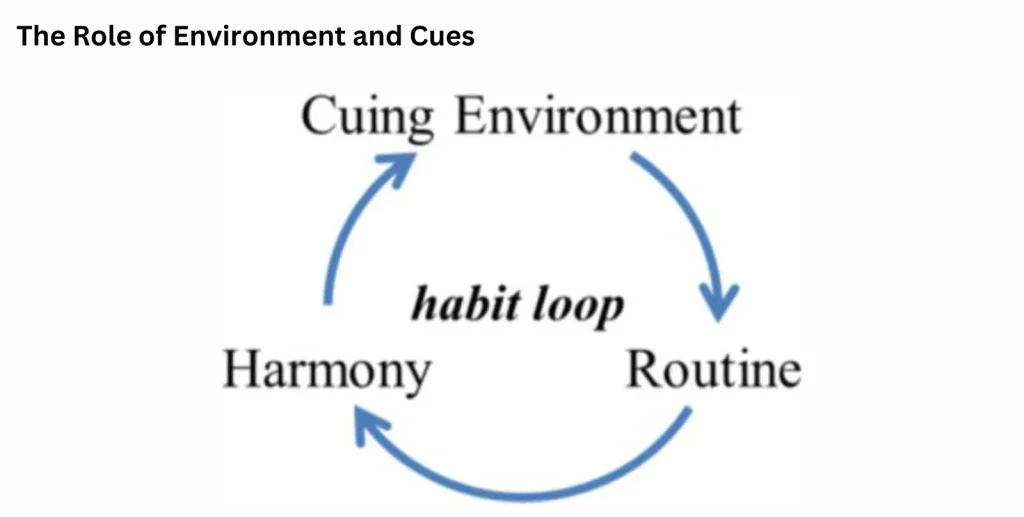 The Role of Environment and Cues