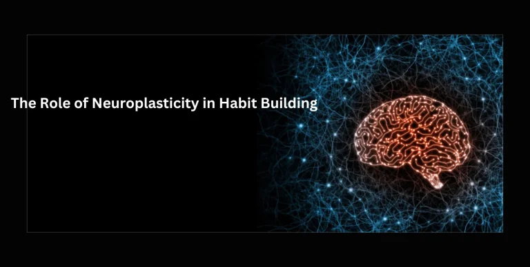 The Role of Neuroplasticity in Habit Building