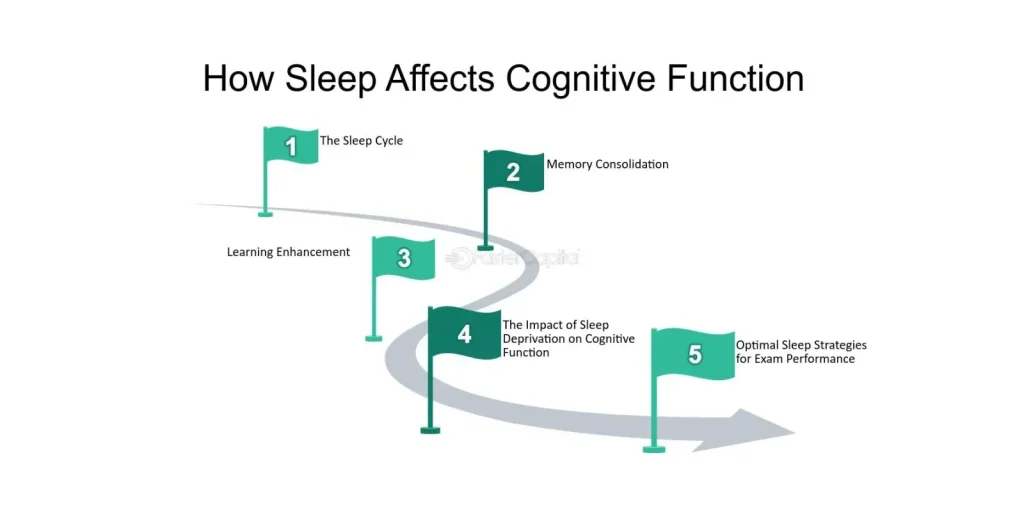 The Role of Sleep in Cognitive Function