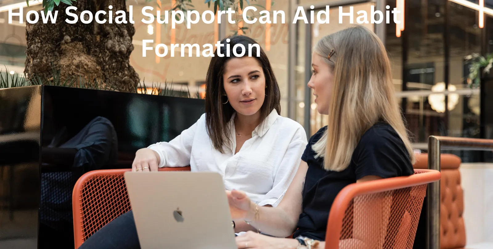 How Social Support Can Aid Habit Formation